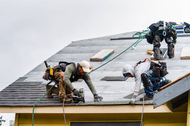 Professional Gutter Installation technician working in Coinjock, NC
